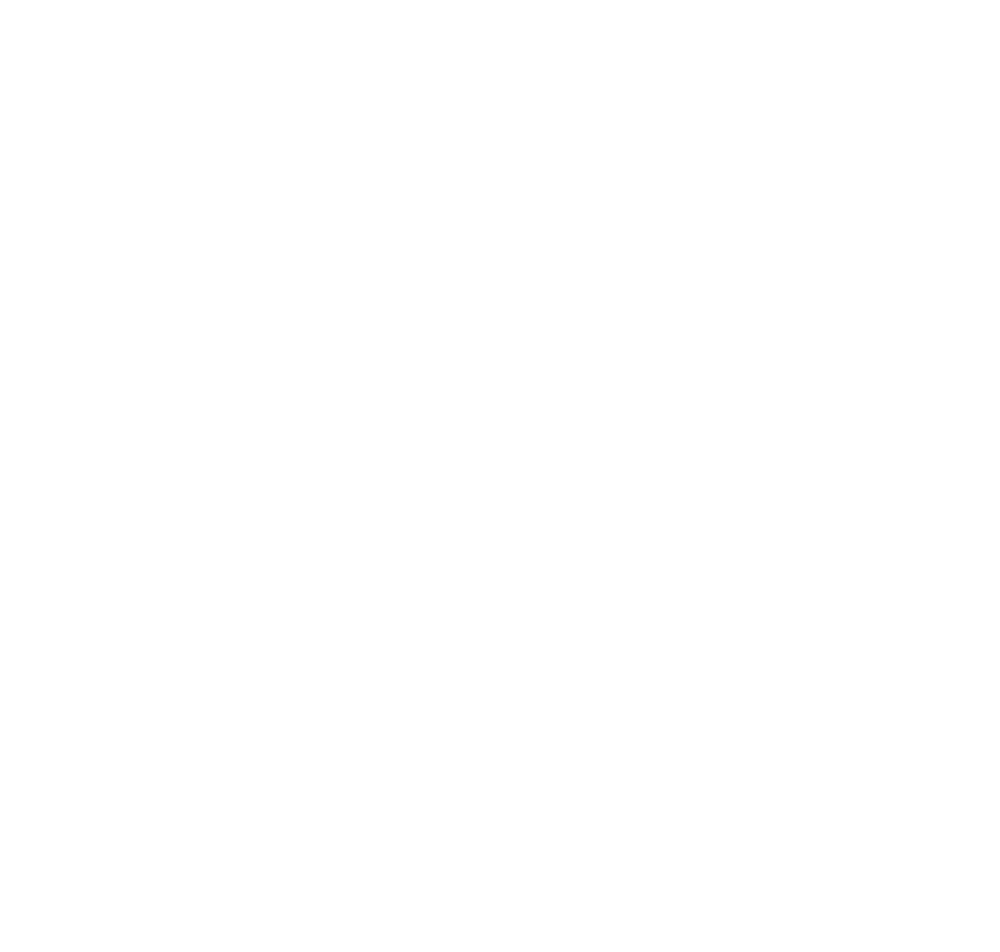 Shield Check