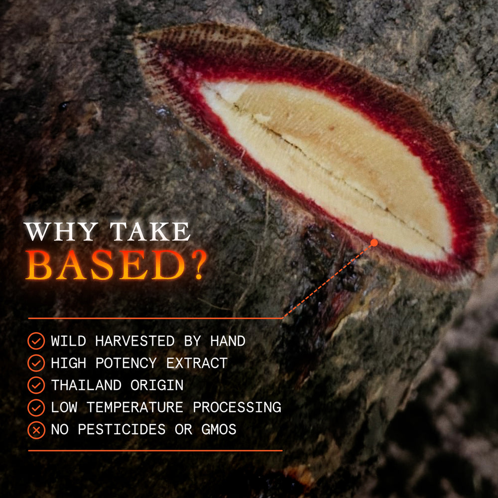 Enhanced Butea Superba (LAUNCH OFFER)