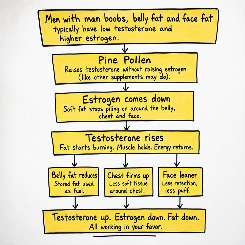 Intro Flowchart Diagram