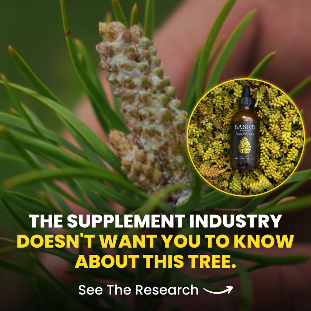 <h1>8 Reasons Shilajit Helped <strong>Over 50,000 Men</strong> Burn Off <em>Stubborn Fat</em></h1>